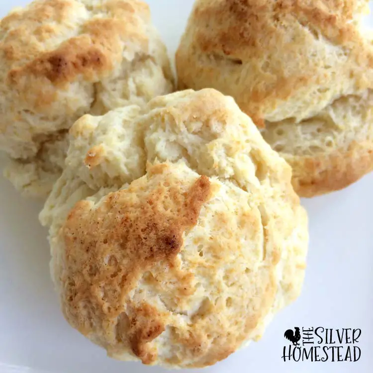 sweet cream biscuits recipe country farmhouse kitchen cooking