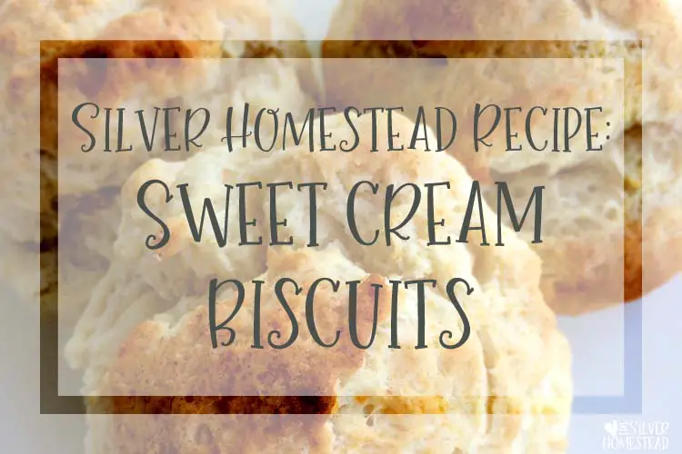 Sweet Cream Biscuit Recipe
