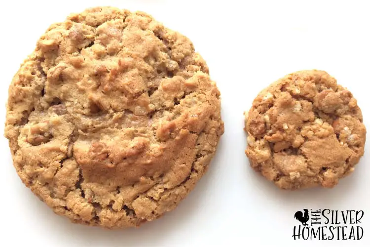Silver Homestead Signature Cinnamon Caramel Cookie Recipe for big cookies