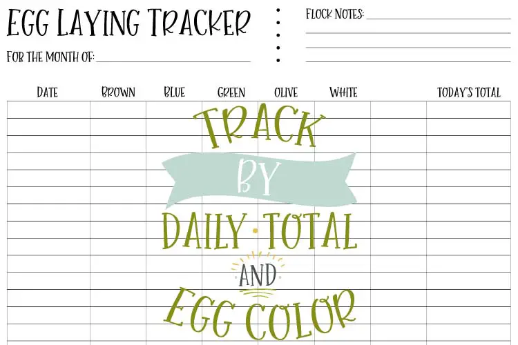free egg laying tracker sheet digital example free printable egg laying tracker sheet to track eggs laid by date and color blue green olive brown white chocolate marans freebie print diy tracking record keeping breeding backyard chicken chicks pullets hens rooster females ovulating layer chart worksheet 4-H FFA work sheet colored egg laying chickens eggs colors