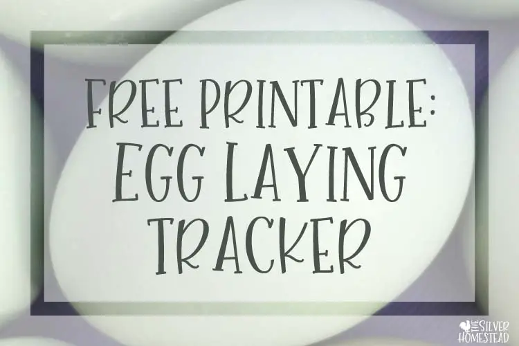 free printable egg laying tracker