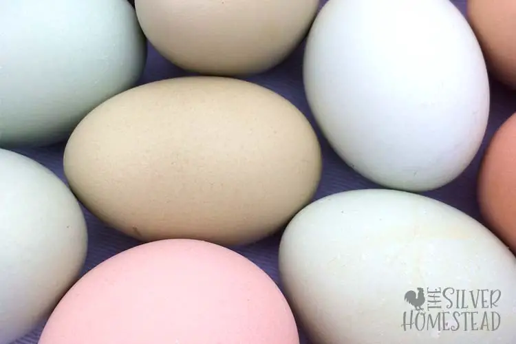 a mix of rainbow colored chicken eggs on a tea towel