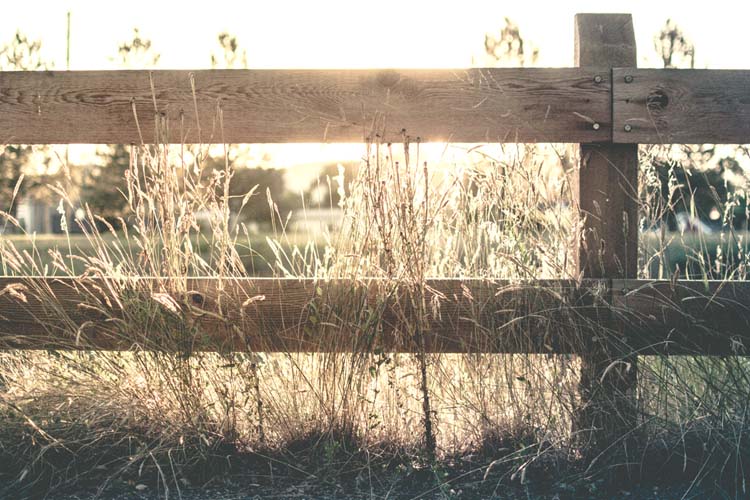 A natural wood fence in the country with grass and sunshine. Beginning a country house hunt