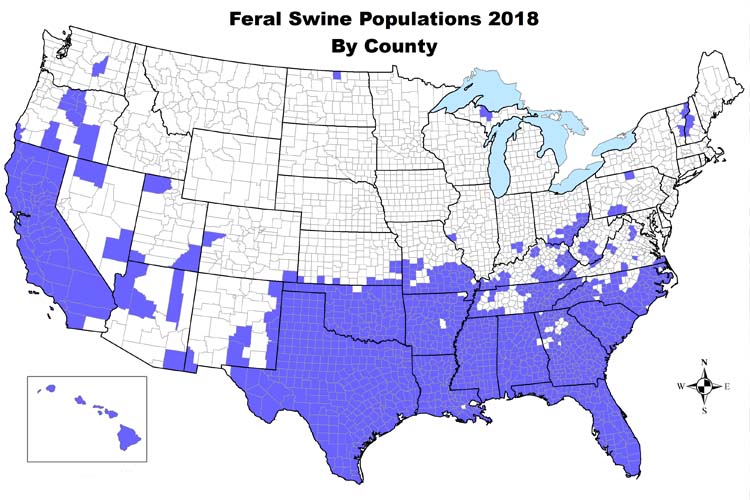 A map showing which counties in the United States have feral hogs