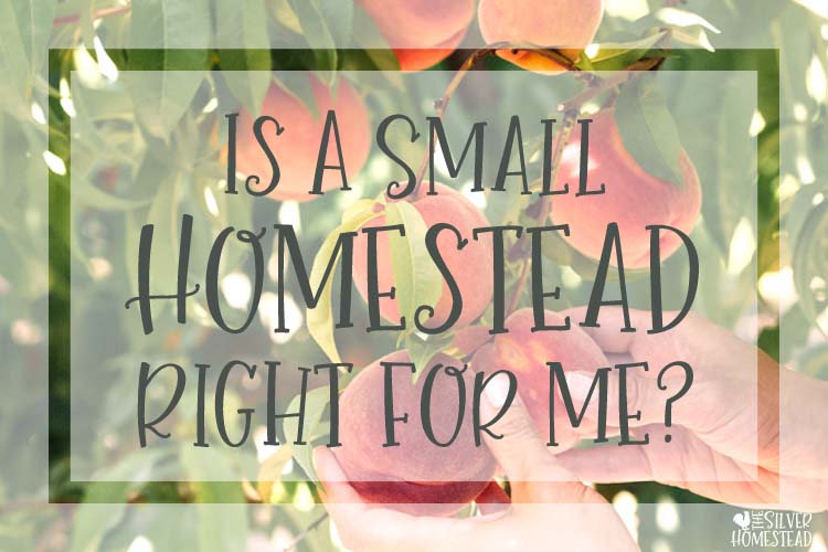 Is a small homestead right for me?