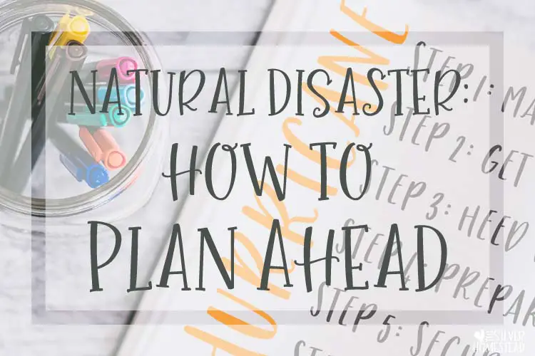 Natural Disasters: How to Plan Ahead