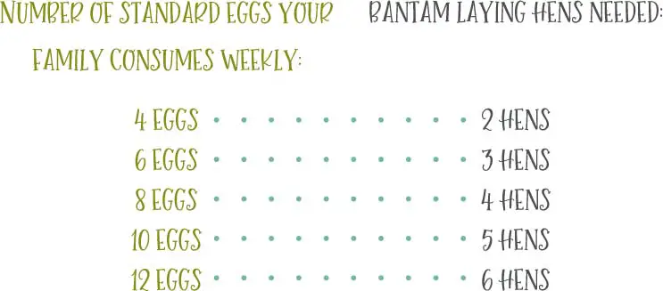 Number of bantam hens needed for how many eggs your family eats in a weeks 2 bantam eggs to 1 standard size regular normal chicken egg