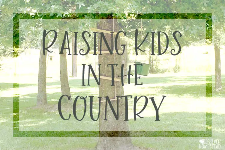 Moving and Raising Kids in the Country
