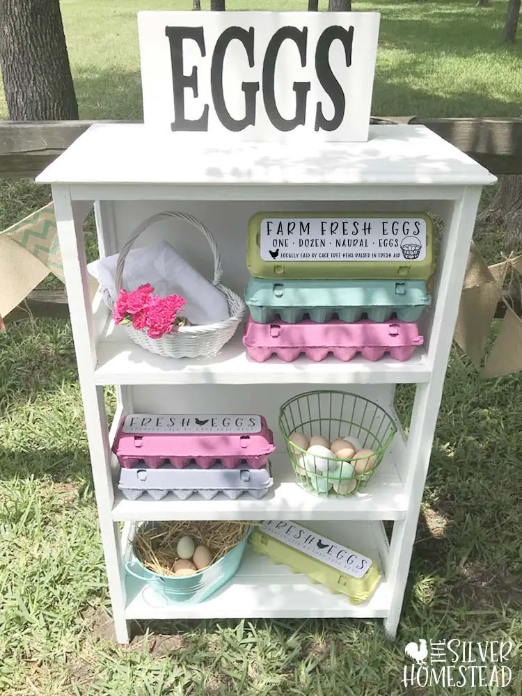 White farmers market stand roadside table sell eggs legally in Texas colored pulp egg cartons blank label top toppers