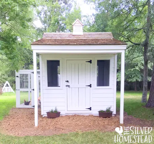 White cape cod cottage style chicken coop ship lap magnolia texas homestead painted black hen backyard flock chicks