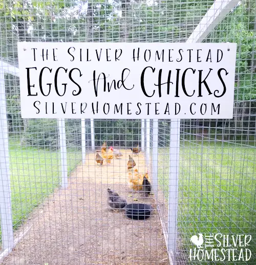 The Silver Homestead white country cottage chicken coop run