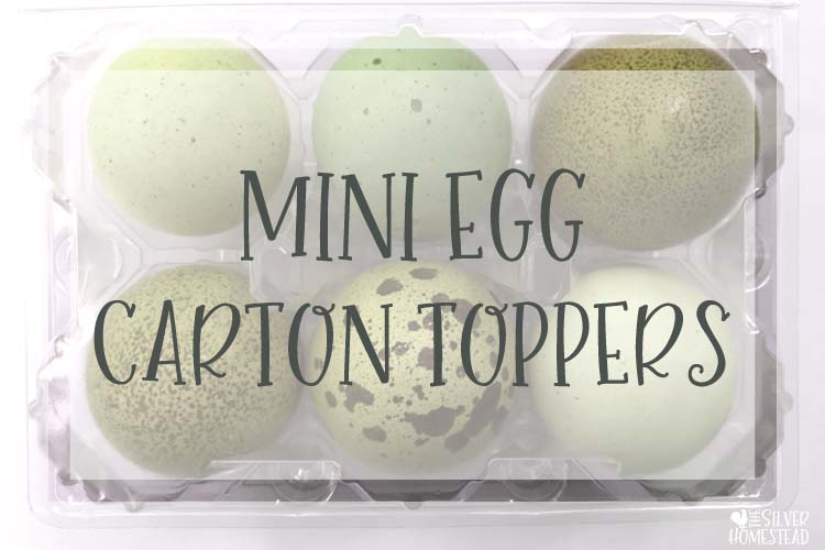 Mini egg carton topper half dozen olive green eggs