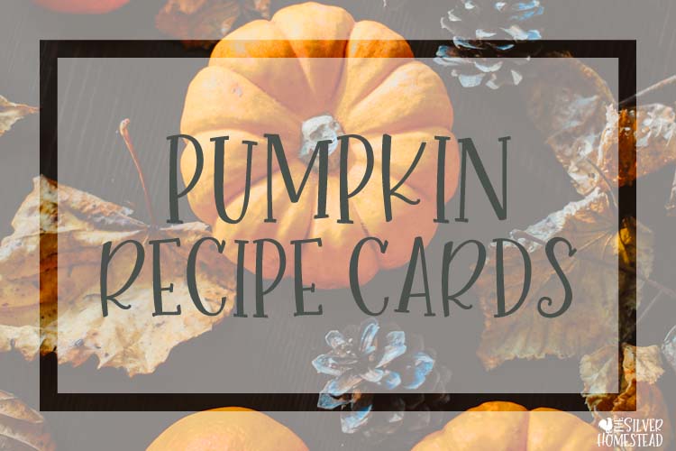 Printable Pumpkin Recipe Cards free design