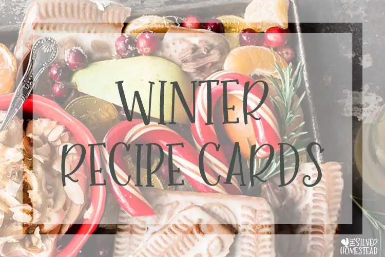 Printable Winter Recipe Cards Christmas holiday red truck tree recipe card