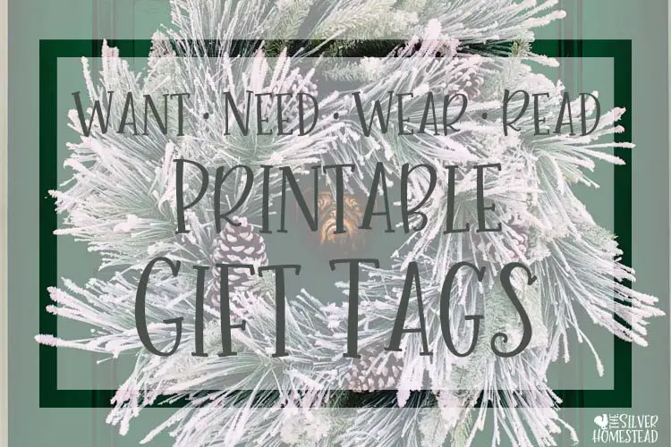 Want, Need, Wear, Read Gift Tags
