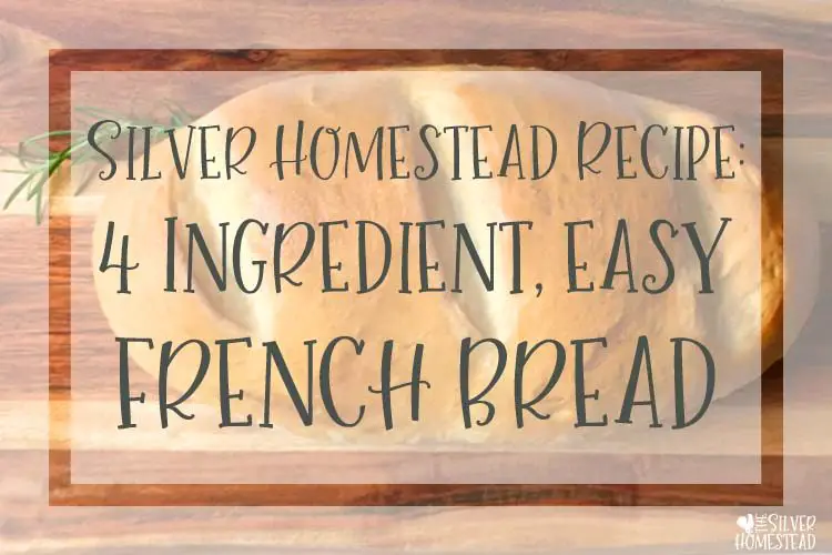 Always Perfect French Bread Recipe