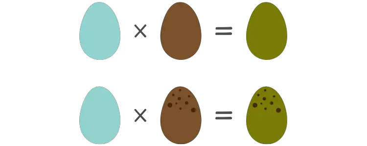 speckled Olive eggs egger breeding