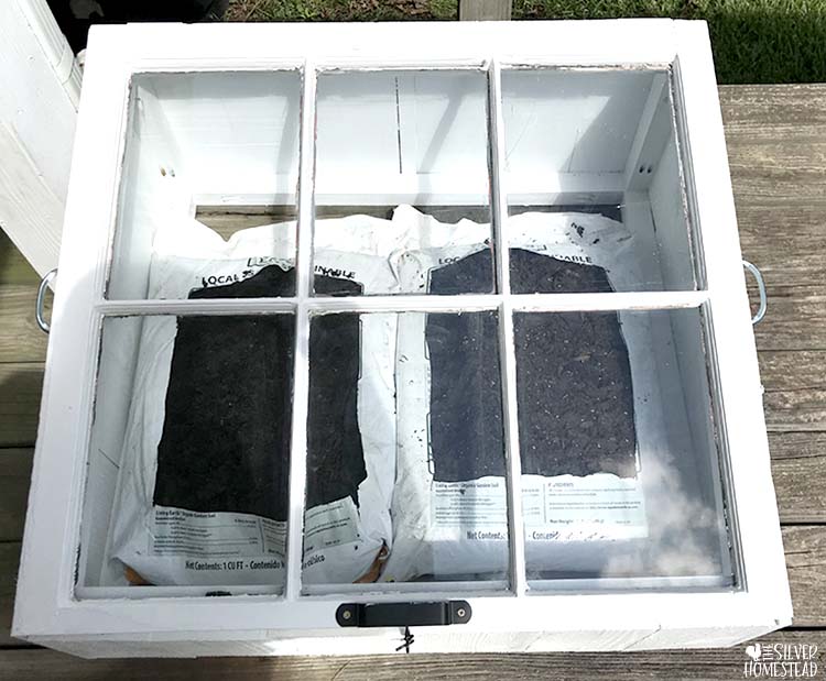 Cold frame made from upcycled old window green house