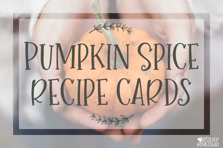 Pumpkin Spice Recipe Cards