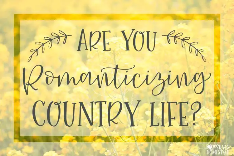 Romanticizing Country Life