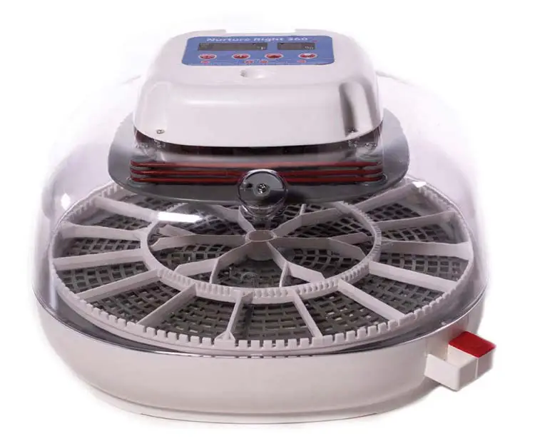 Best Incubator for Hatching Eggs at Home