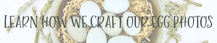 learn how we craft our egg photos stage colored eggs pictures pic images pretty farm social media graphics facebook homestead take good photography