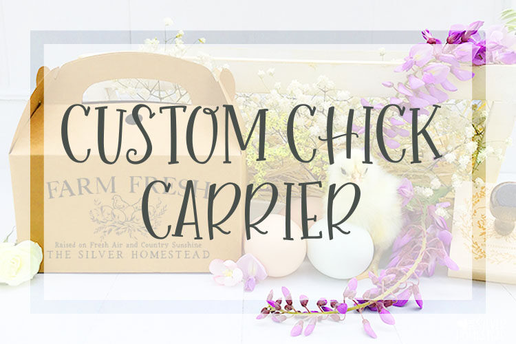 Custom Chick Carriers