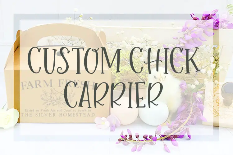 custom stamped chicken chick carrier cheap DIY make your own printed farm branded ranch cute take home box treat gable carton baby chick transport transporter aviary cardboard holder 