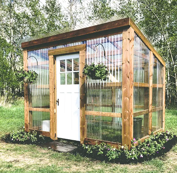 coturnix quail coop aviary greenhouse idea
