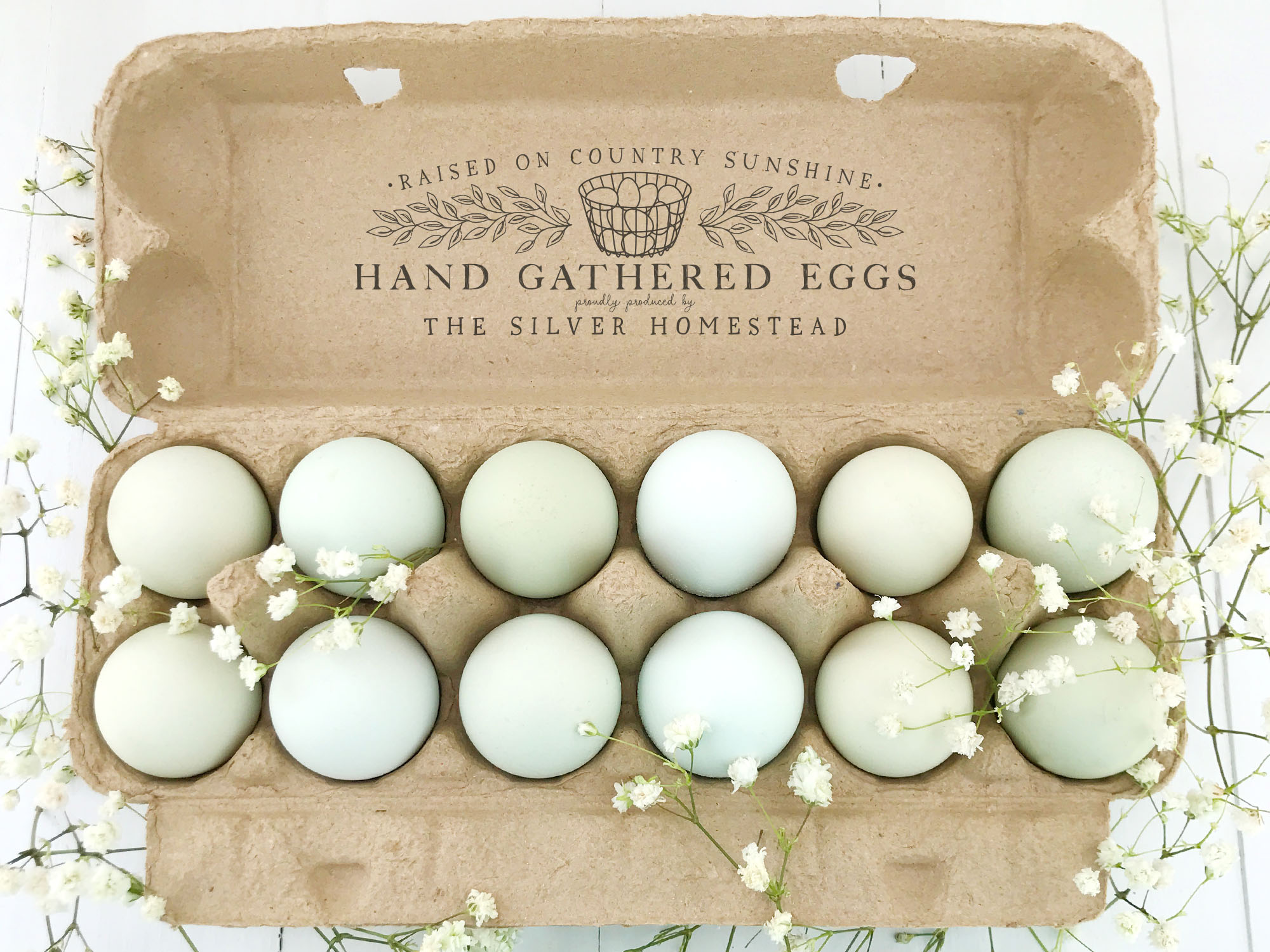 How to Find Local Egg Sellers - Silver Homestead