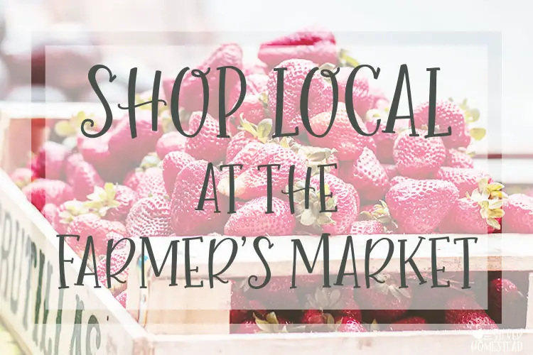 shop at the local farmers market food farm to table support growers farmers bee keepers