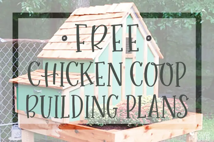 free chicken coop building plans