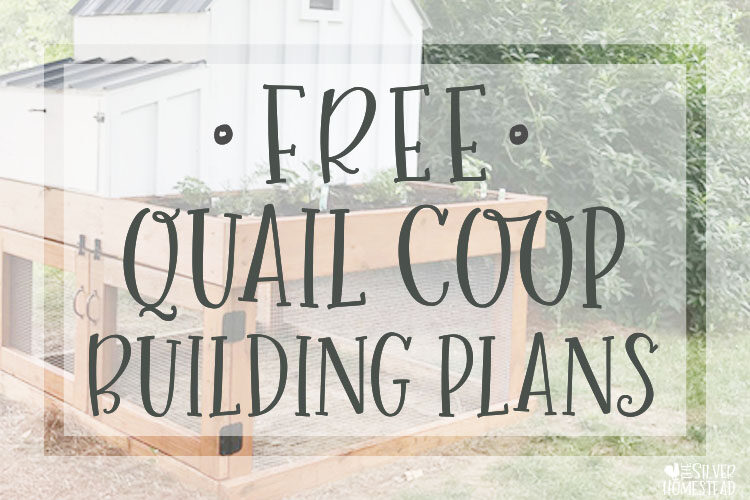 Free Quail Coop Building Plans