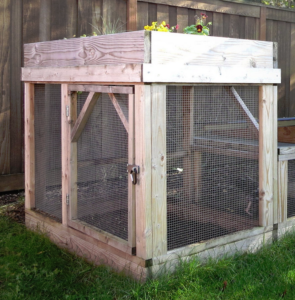 Free Quail Coop Building Plans - Silver Homestead