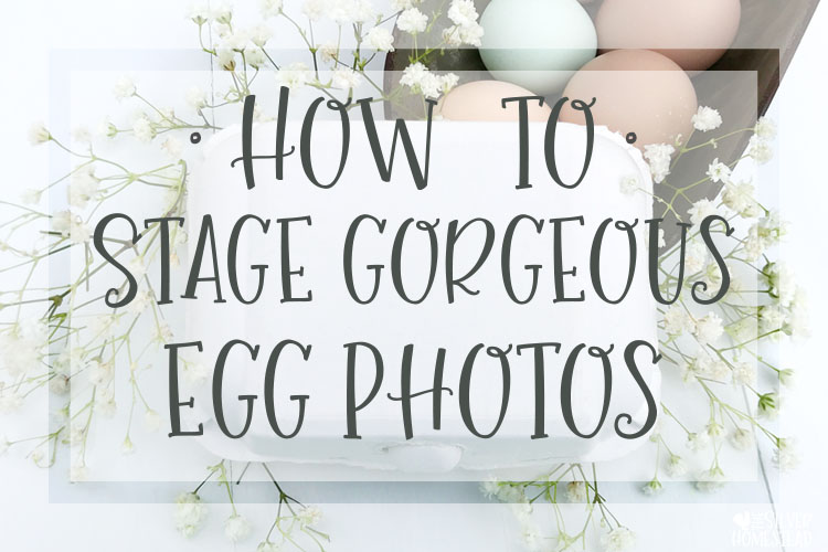 how to stage gorgeous egg photos for social media online instagram facebook FB IG pics photography backyard chicken keeping colored eggs