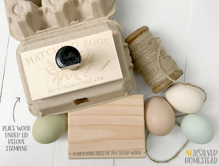 Quail Egg Custom Rubber Stamp Quail Egg Carton Stamp Farm Stamp