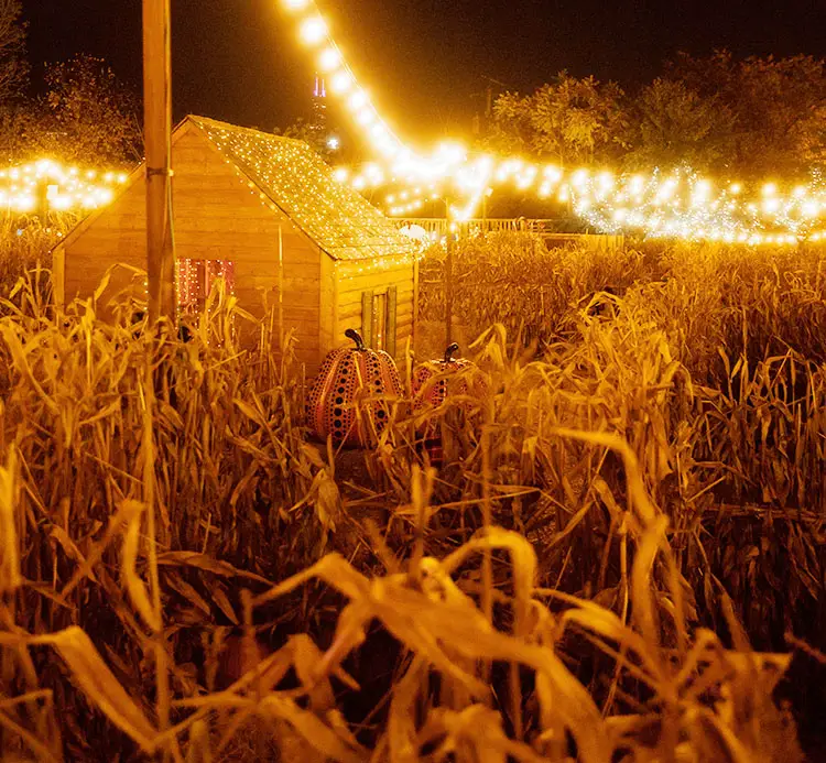 Leaving the Suburbs and Moving to the Country autumn corn maze