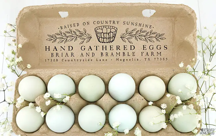 Wood egg carton stamps how to stamped egg cartons 