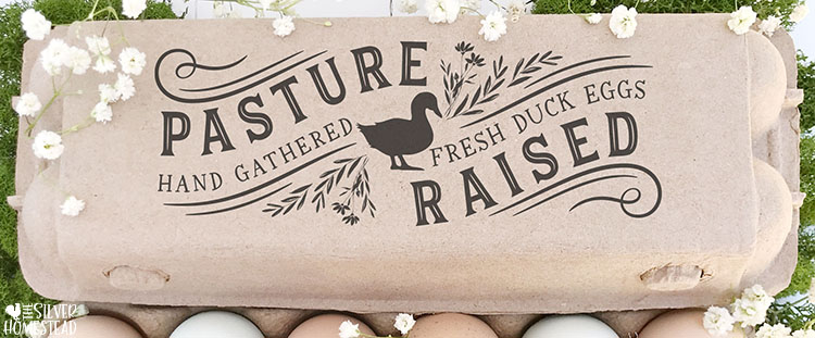 Please Return Carton' Egg Carton Stamp – Wild Feather Farm