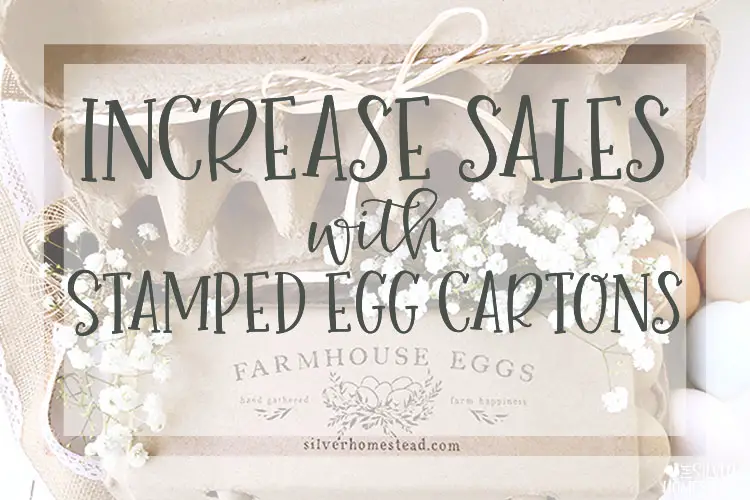 increase sales with stamped egg cartons farmers market road side farm stand sell more rainbow colored eating eggs hatching egg increase sales 