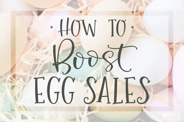 Boost Egg Sales