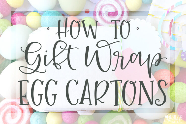 Gift Wrapping Egg Cartons