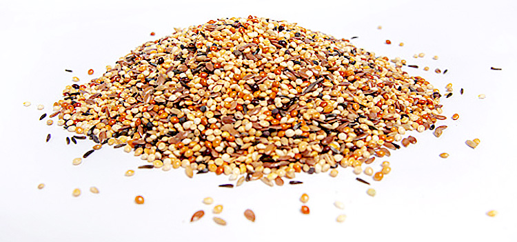 https://silverhomestead.com/wp-content/uploads/2021/11/Bird-Seed-Millet-Mix-2.jpg?ezimgfmt=rs:332x155/rscb1/ng:webp/ngcb1