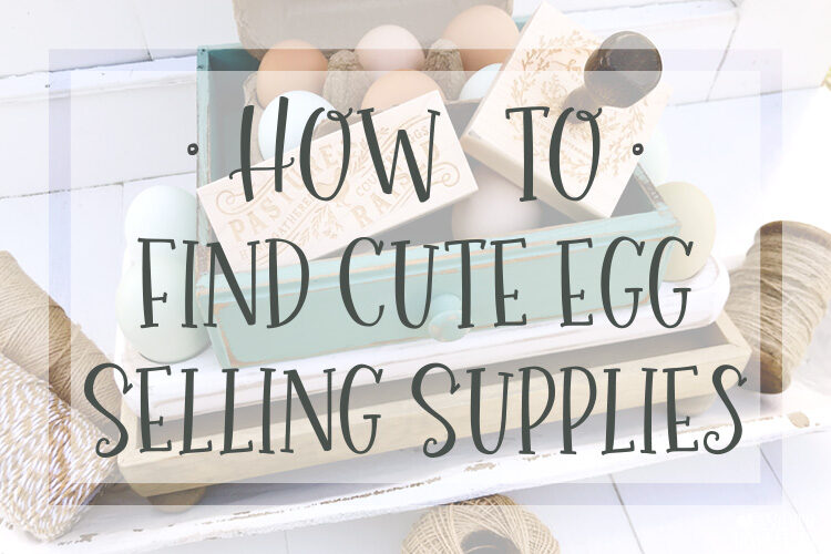 Finding Cute Egg Selling Supplies