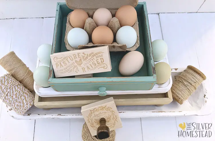 Stage Social Media Pictures Fast sell backyard chicken hatching eggs colored egg layers easter egger speckled olive egger custom egg carton stamps egg colors