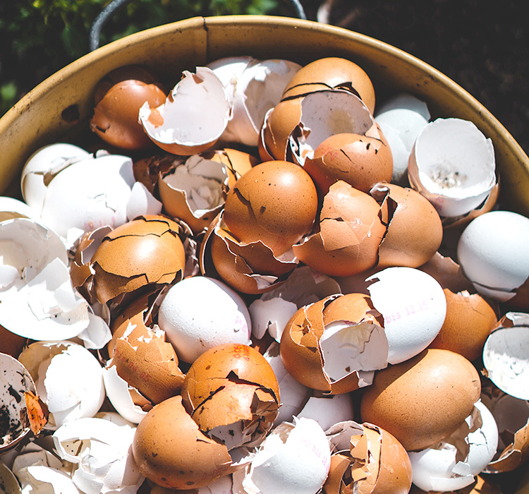 turn garden waste into fresh chicken eggs weeds kitchen scraps compost bits pieces grass clippings laying hens egg shells food production backyard garden gardening for beginners chicken keeping