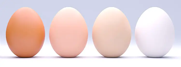 grocery store egg colors