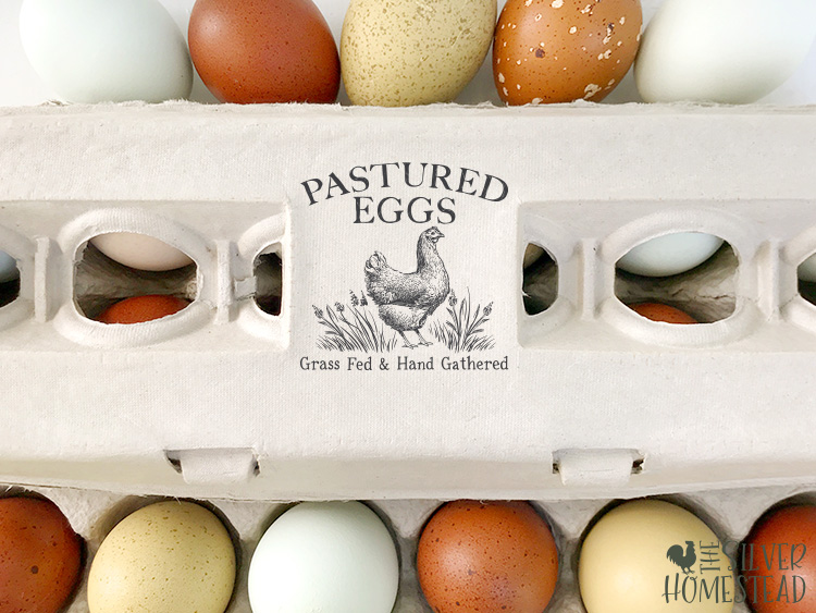 Stamped Egg Cartons on a Budget custom colored rainbow eggs carton sell local farm stand farmers market chicken income side hustle flock pay for itself laying hen chicken egg colors by breed make money cash honor box system roadside road side stall eating eggs pasture raised free range grass fed bugs seeds whole grain non-GMO feed