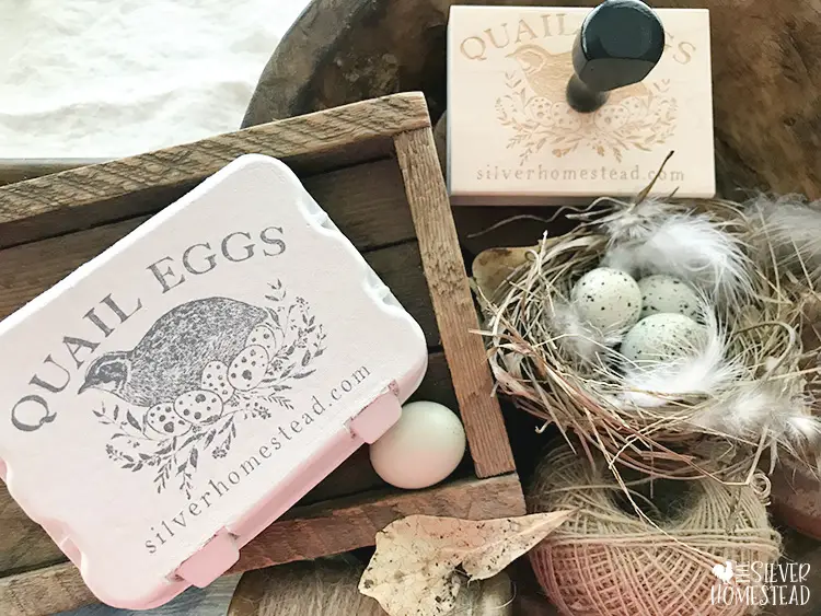 celadon coturnix quail eggs in a bird nest next to a stamped quail egg carton