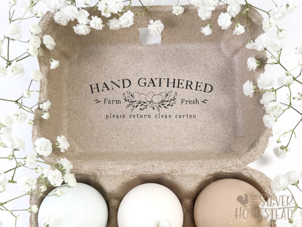 Stamped Egg Cartons on a Budget - Silver Homestead